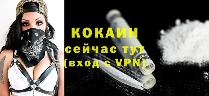 Где можно купить наркотики Киселёвск omg зеркало  ГЕРОИН  Alpha-PVP  Гашиш  Cocaine  Меф  Каннабис 